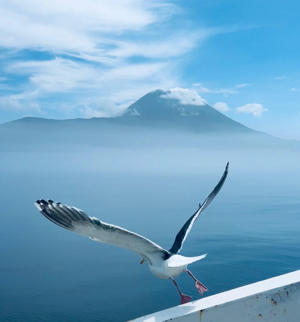 ����������� WhatsApp 2025-08-11 � 14.07.13_f0fb6b3f.jpg